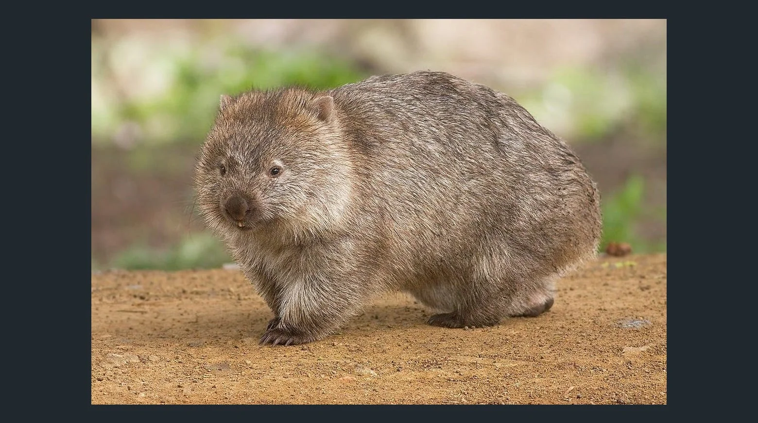 Additional image 6 of 12 Bronte Estate Road, Bronte Park TAS 7140