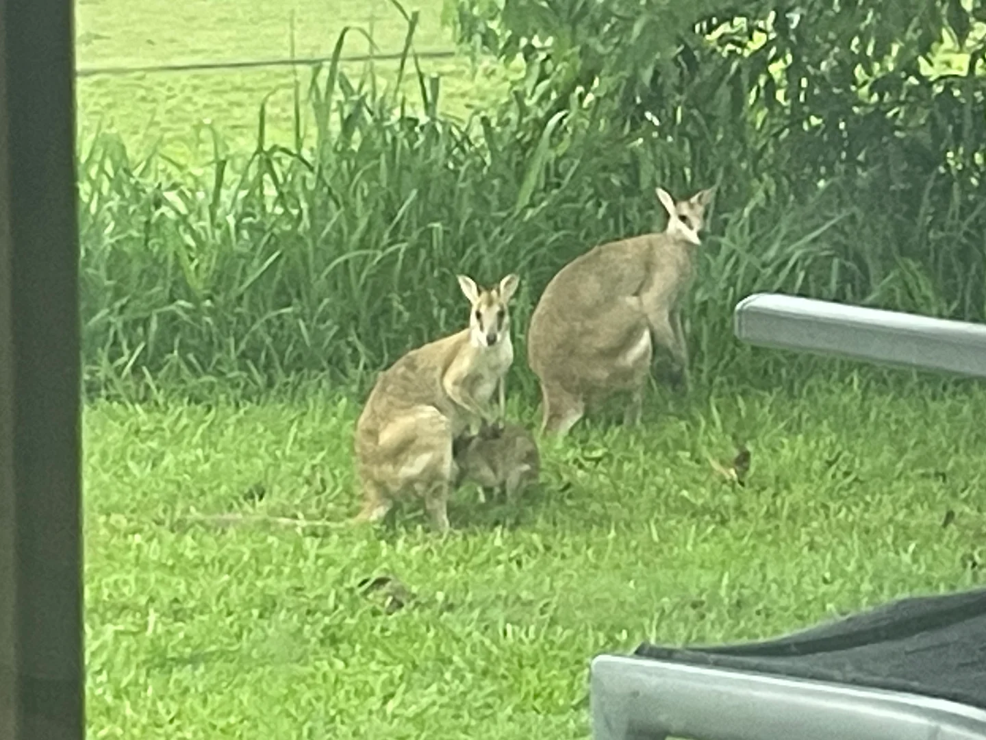 Additional image 18 of 109 Attards Road, Habana QLD 4740