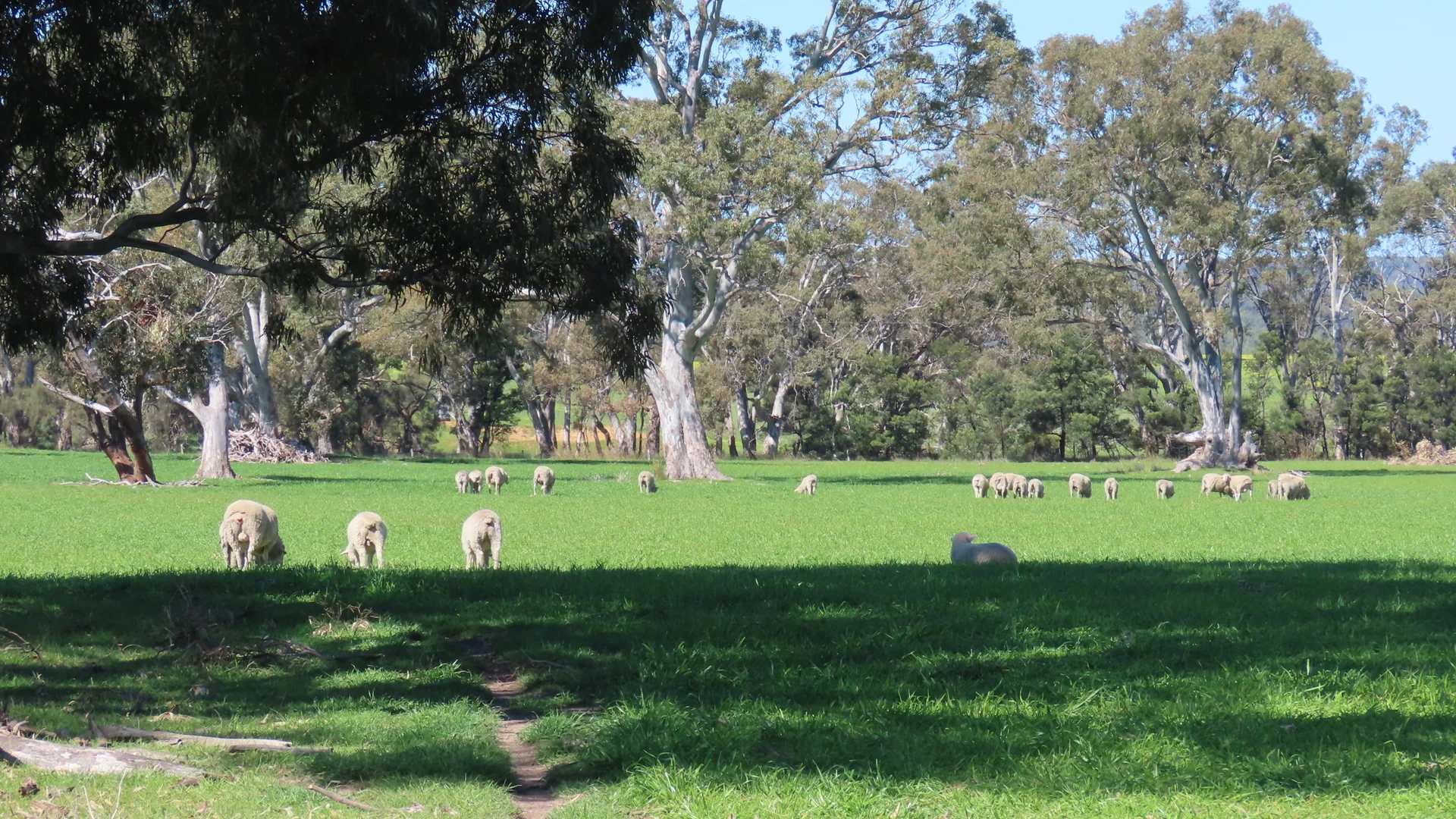 Additional image 31 of 173 Mcclures Rd, Connewirricoo VIC 3318