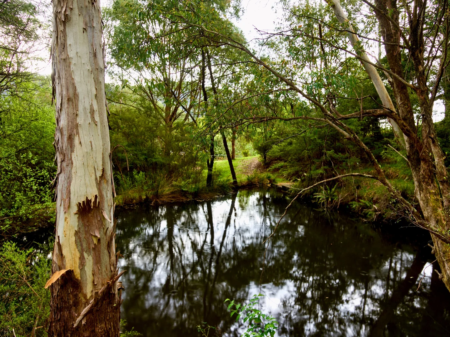 Additional image 23 of 451 Mount Buffalo Road, Porepunkah VIC 3740