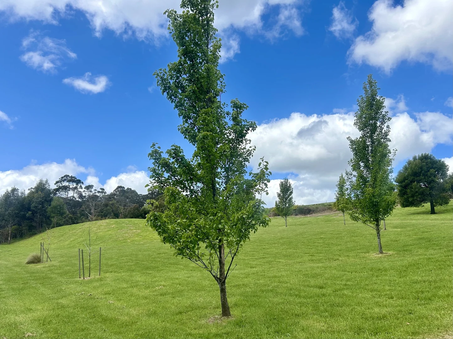 Additional image 10 of 1240 Daylesford-Trentham Road, Lyonville VIC 3461