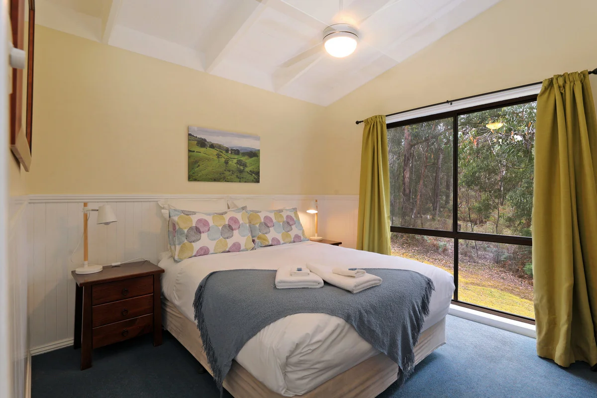 Additional image 33 of 1205 Winchelsea-Deans Marsh Road, Winchelsea South VIC 3241