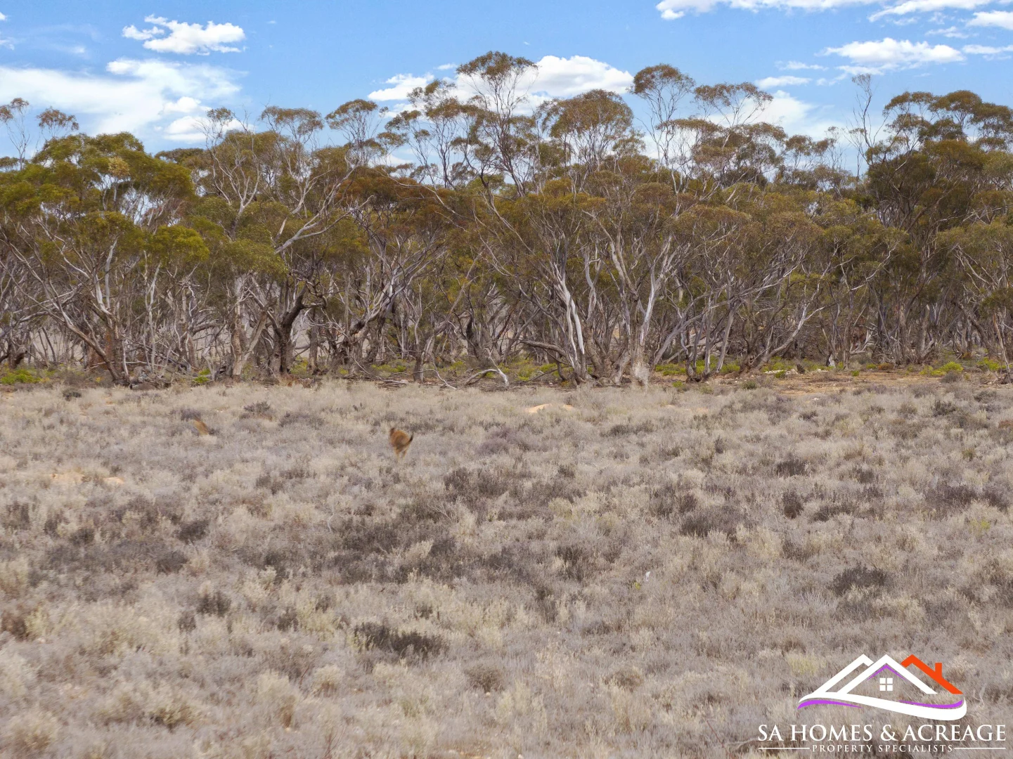 Additional image 6 of Section 195 Sandleton Road, Sandleton SA 5356