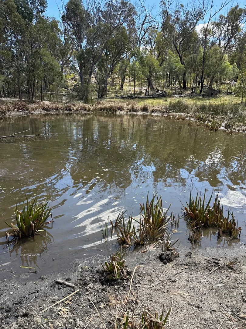Additional image 12 of Lot 1 Brusharbers Road, Tenterfield NSW 2372