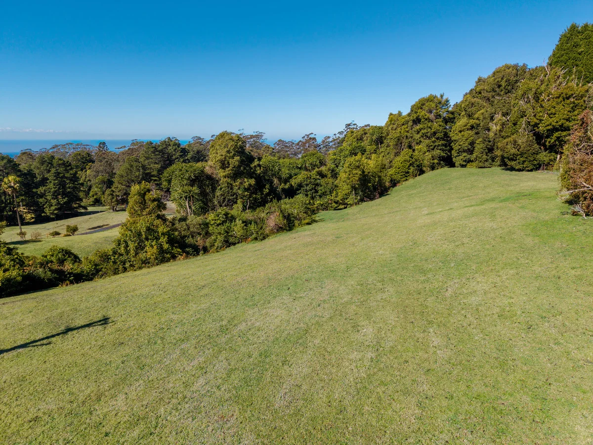 Additional image 6 of 778 Kangaroo Valley Road, Bellawongarah NSW 2535