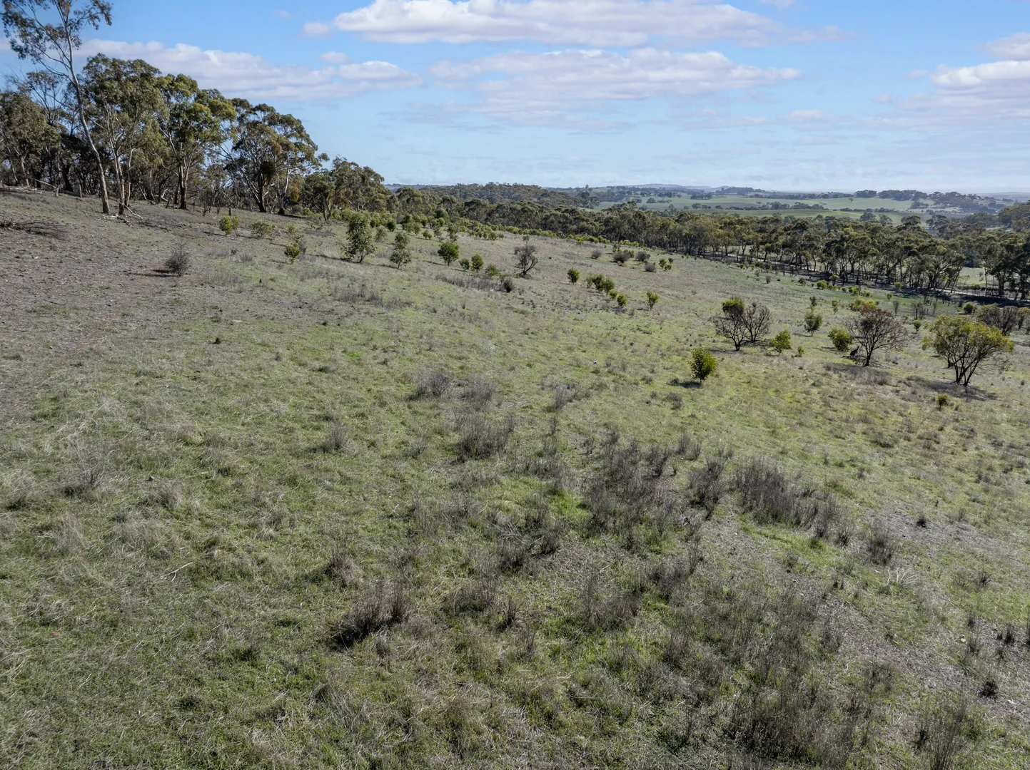 Additional image 13 of Lot 102 Benbournie Road, Armagh SA 5453