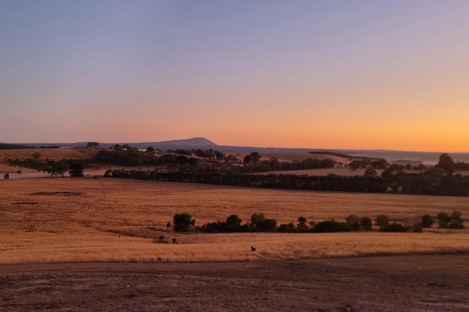 Additional image 35 of 99 Bibbys Lane, Garibaldi VIC 3352