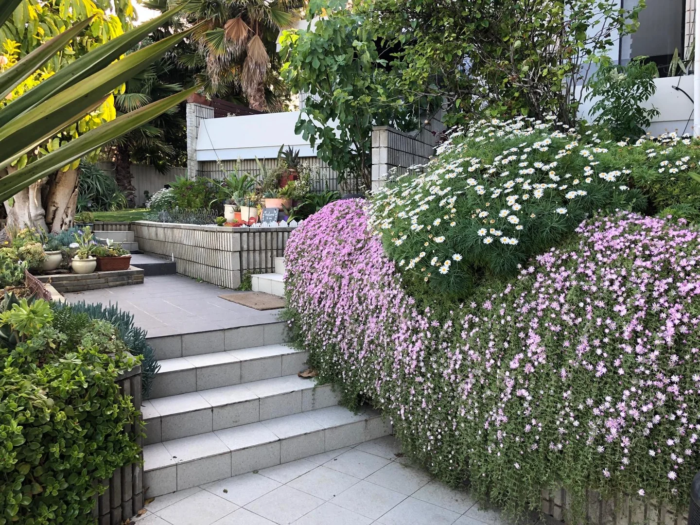 Additional image 33 of 14 Baring Street, Mosman Park WA 6012