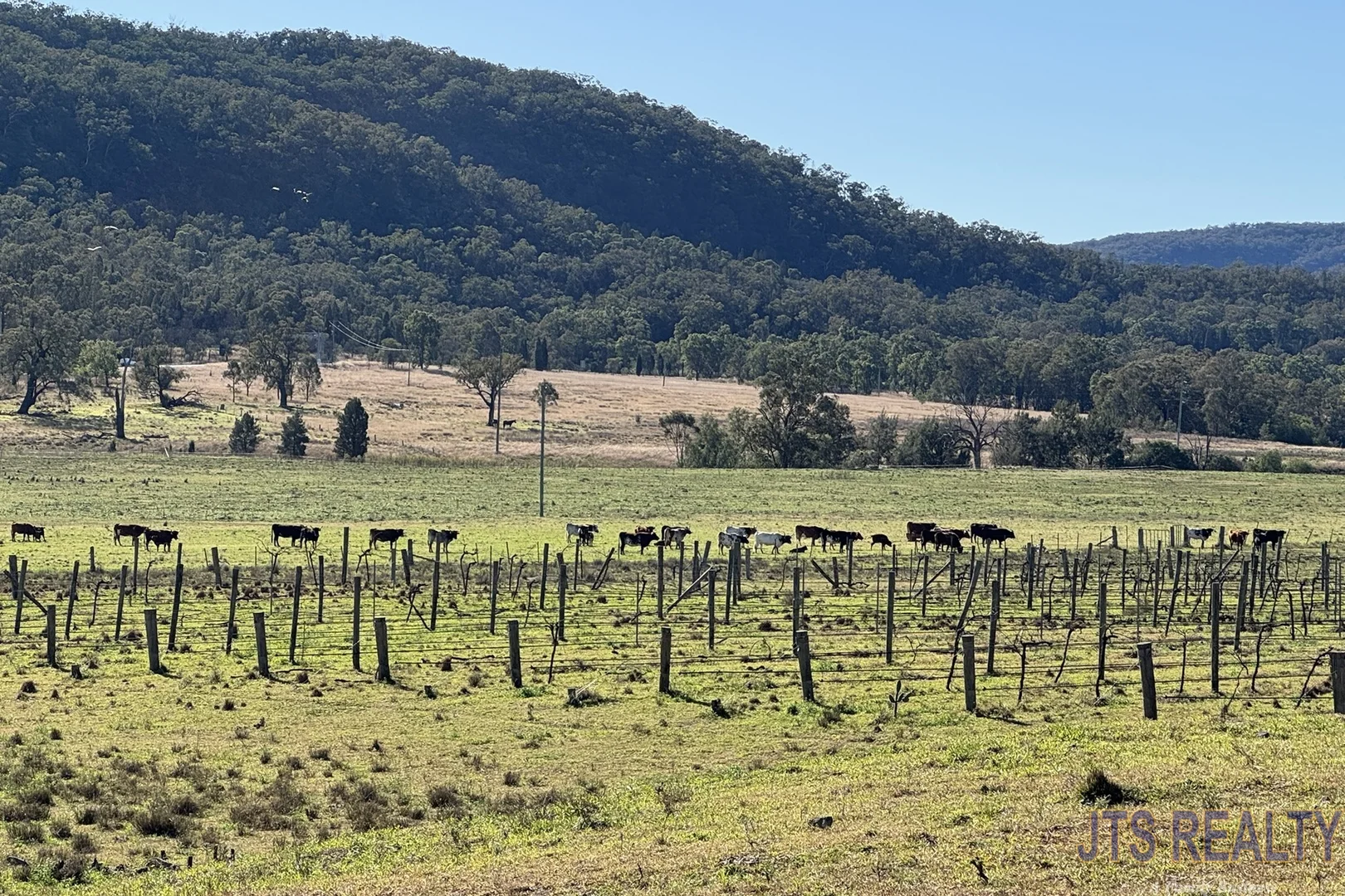 Additional image 5 of 2039 Golden Highway, Sandy Hollow NSW 2333