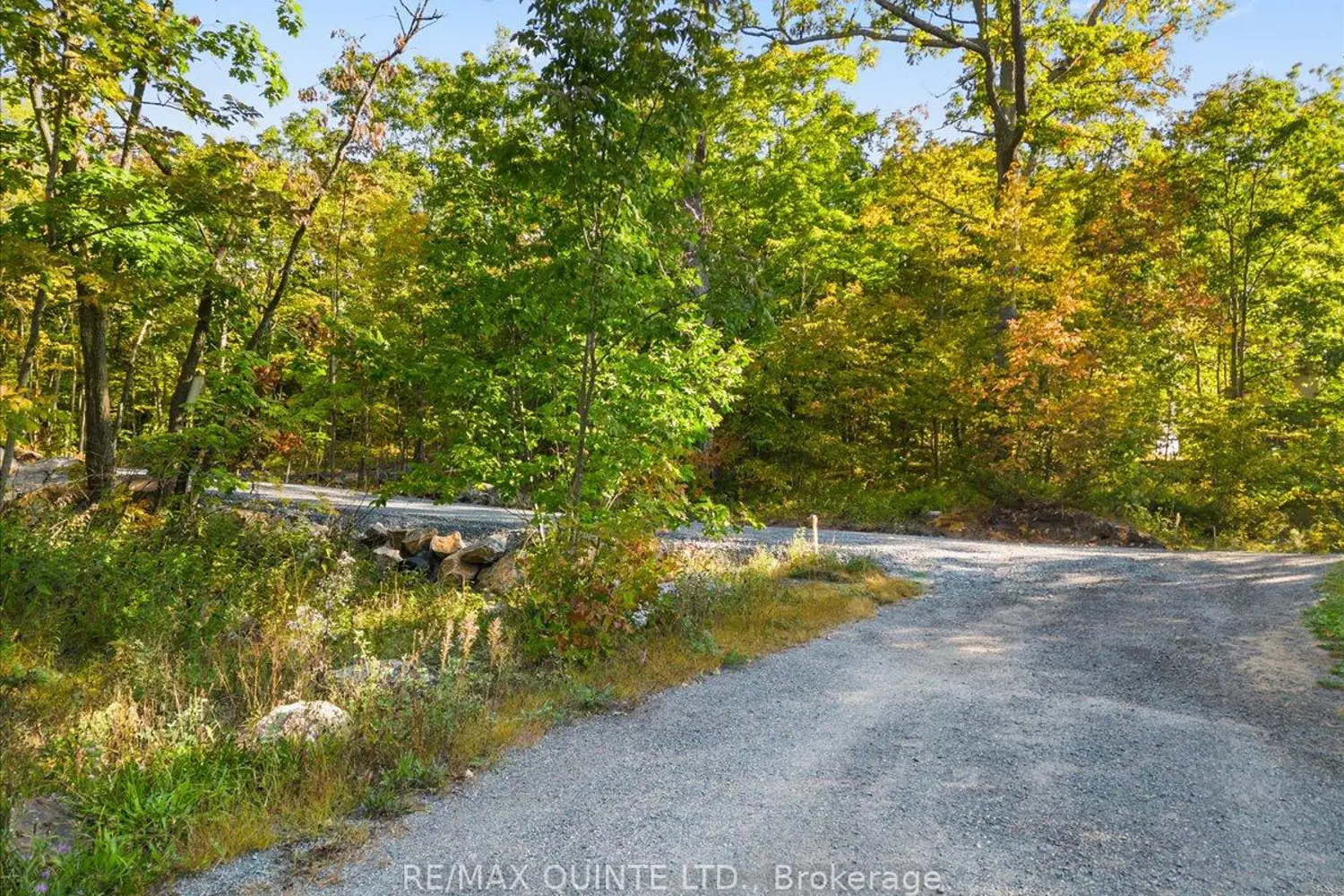 102 Attwood Lane photo 5