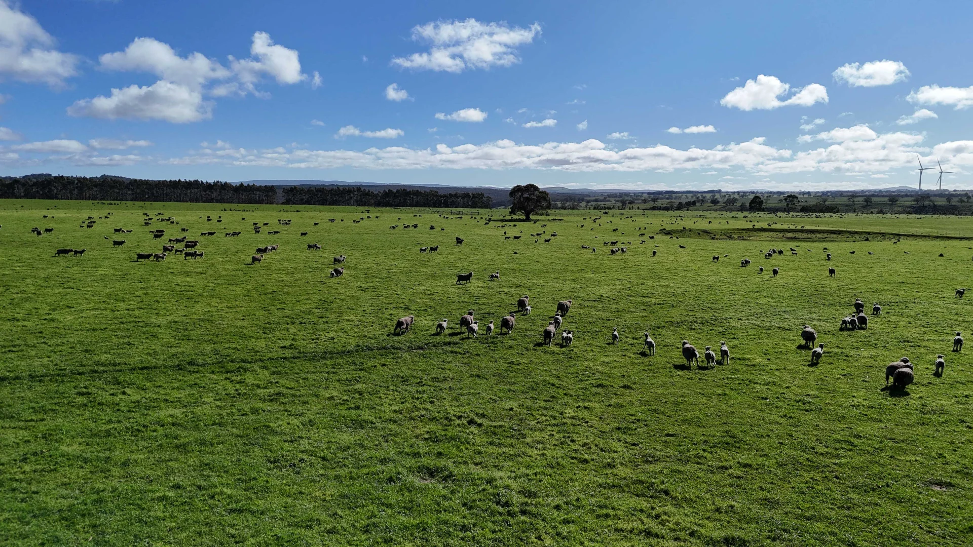 Additional image 7 of 1 McDonalds Lane, Ballan VIC 3342