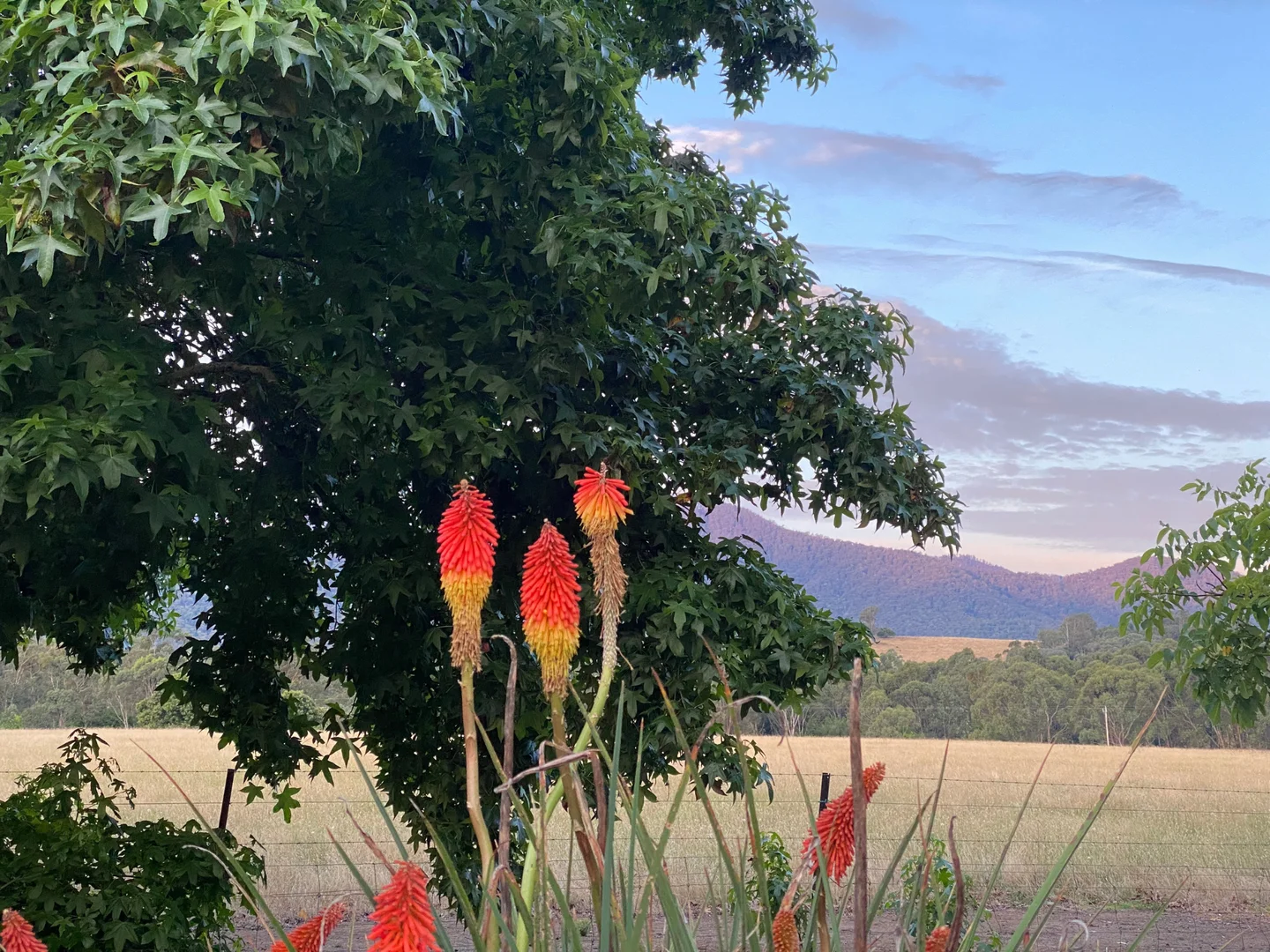 Additional image 7 of Mount Beauty VIC 3699