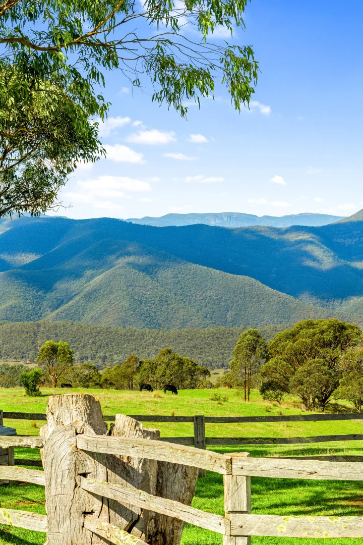 Additional image 12 of 1 Middle Ridge Road, Licola North VIC 3858