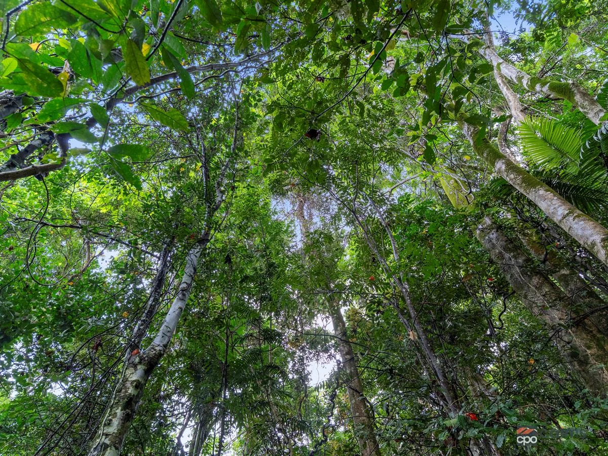 Additional image 2 of 34 Parry Street, Babinda QLD 4861