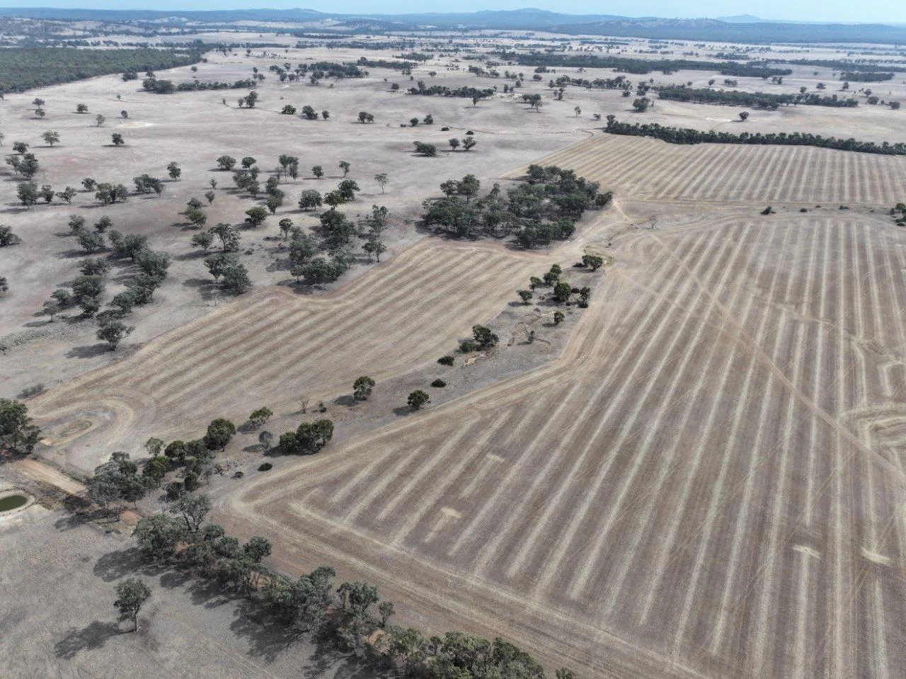 Additional image 5 of Lot 8 Dunolly-Orville Road, Murphys Creek VIC 3551
