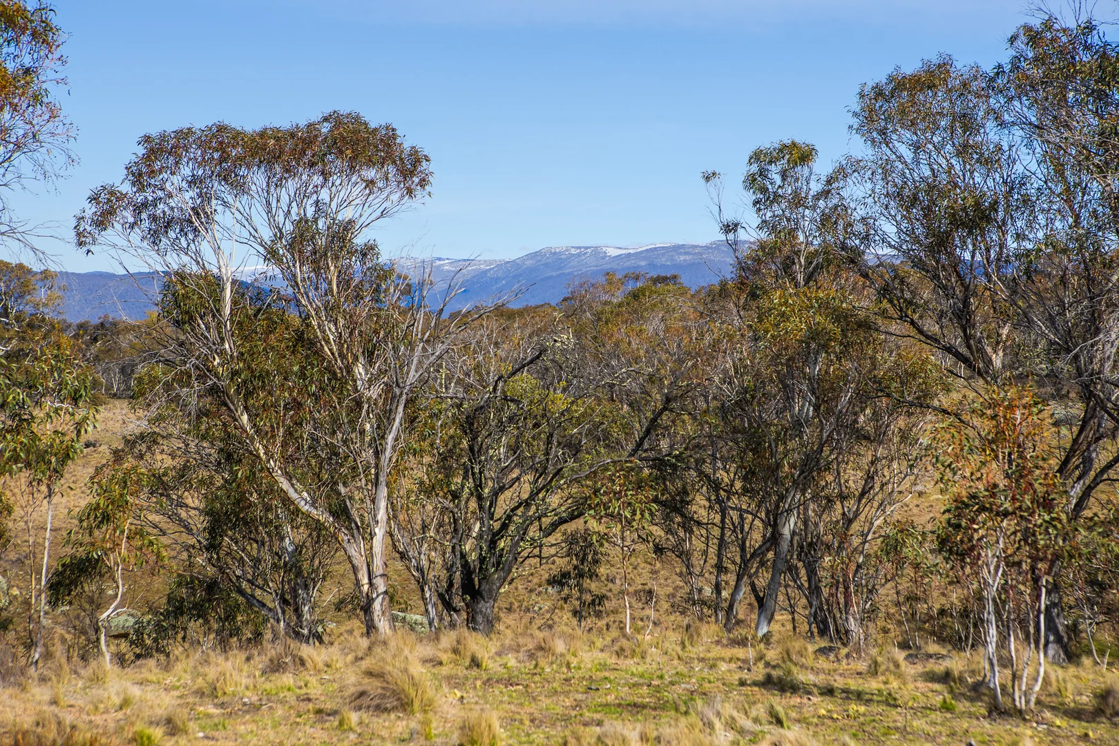 Additional image 4 of 4 Proposed Lot 4 Road, Jindabyne NSW 2627