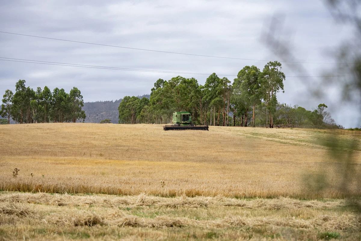 Additional image 10 of 196 Court Farm Road, Buckland TAS 7190