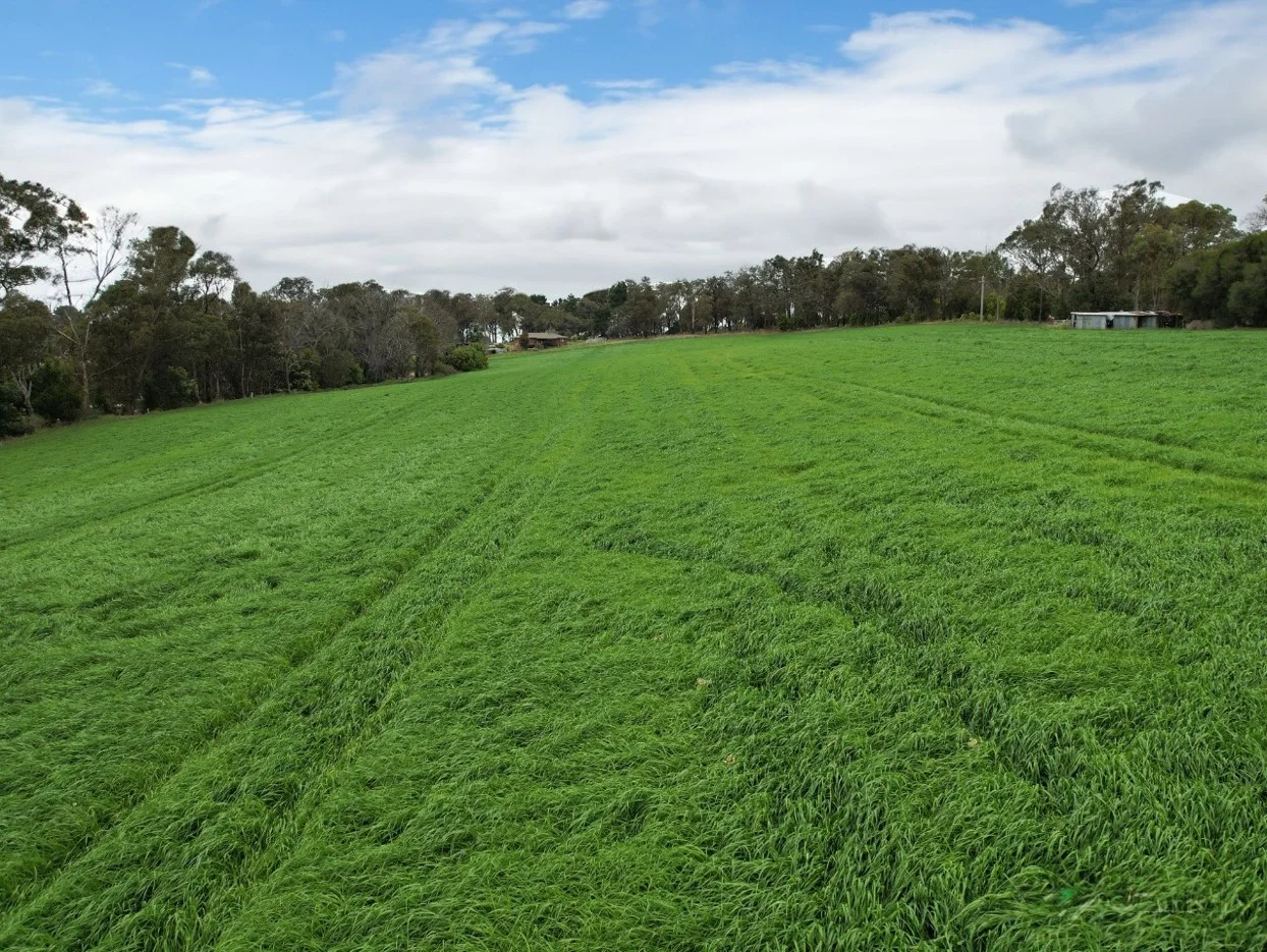 Additional image 5 of 490 Bullumwaal Road, Mount Taylor VIC 3875