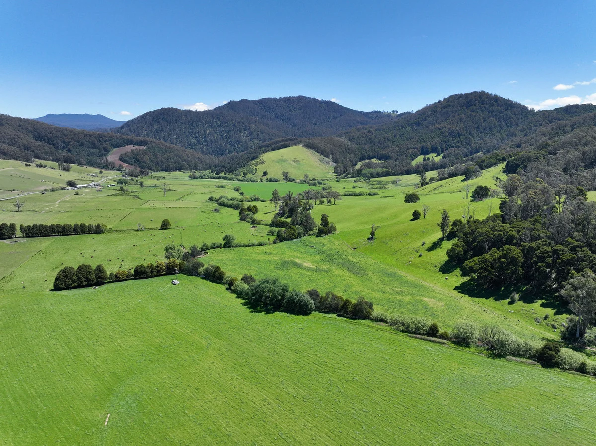 Additional image 3 of 569 St Columba Falls Road, Pyengana TAS 7216