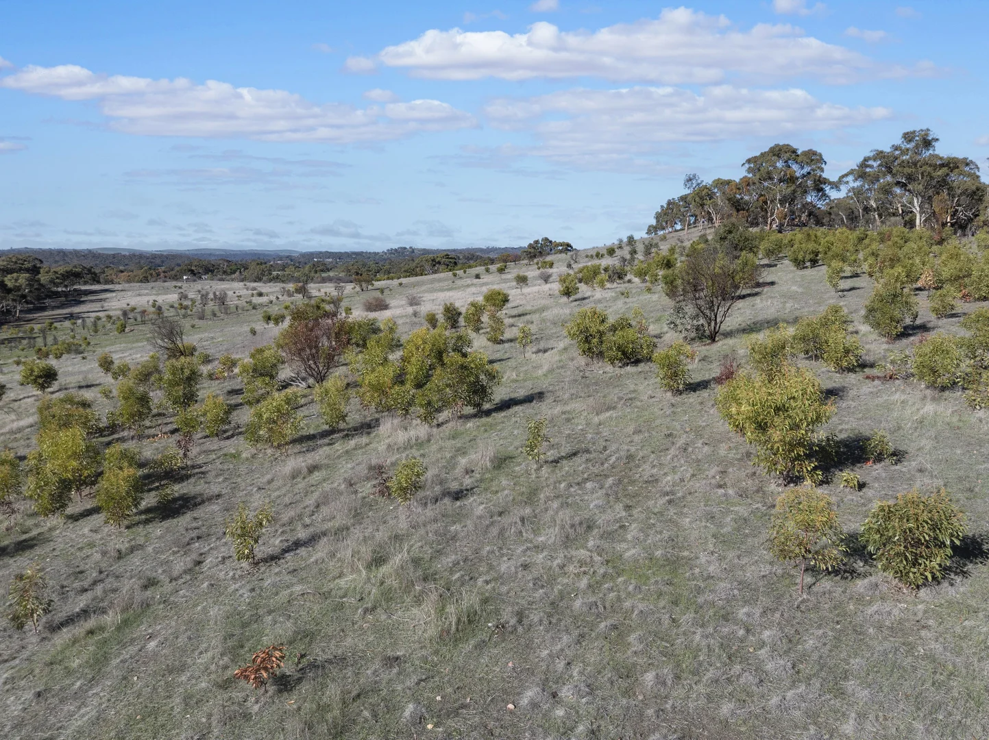 Additional image 11 of Lot 102 Benbournie Road, Armagh SA 5453