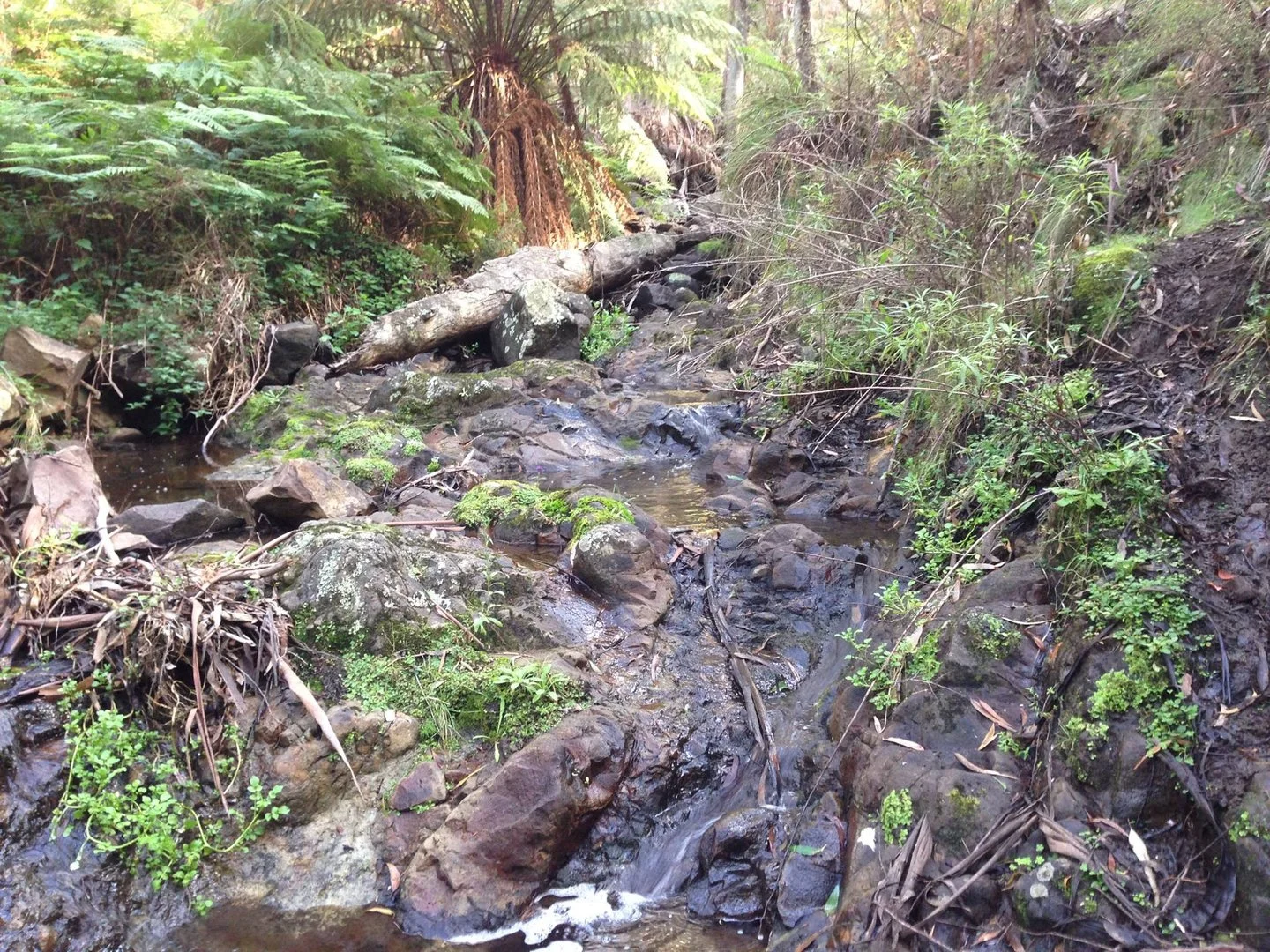 Additional image 2 of Lot 26 Big Jack Mountain Road, Cathcart NSW 2632