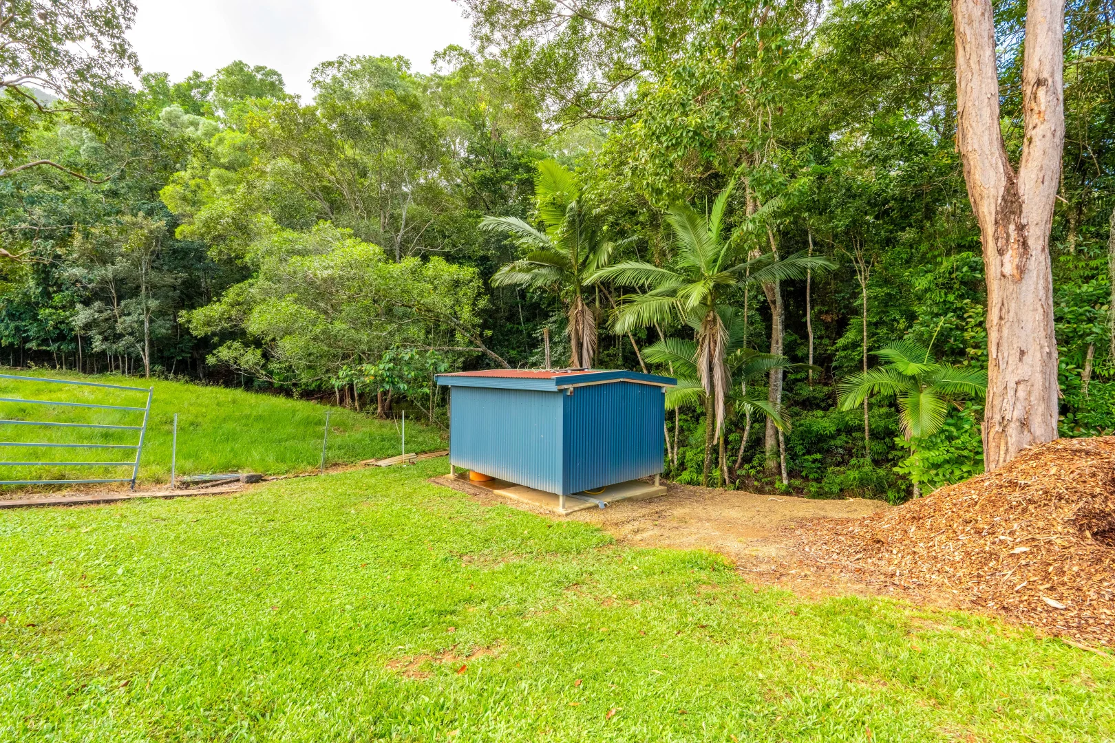 Additional image 37 of 633 Cape Tribulation Road, Kimberley, Daintree QLD 4873