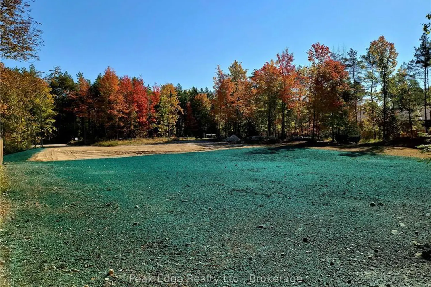 Additional image 3 of 120 Forest Creek Trail