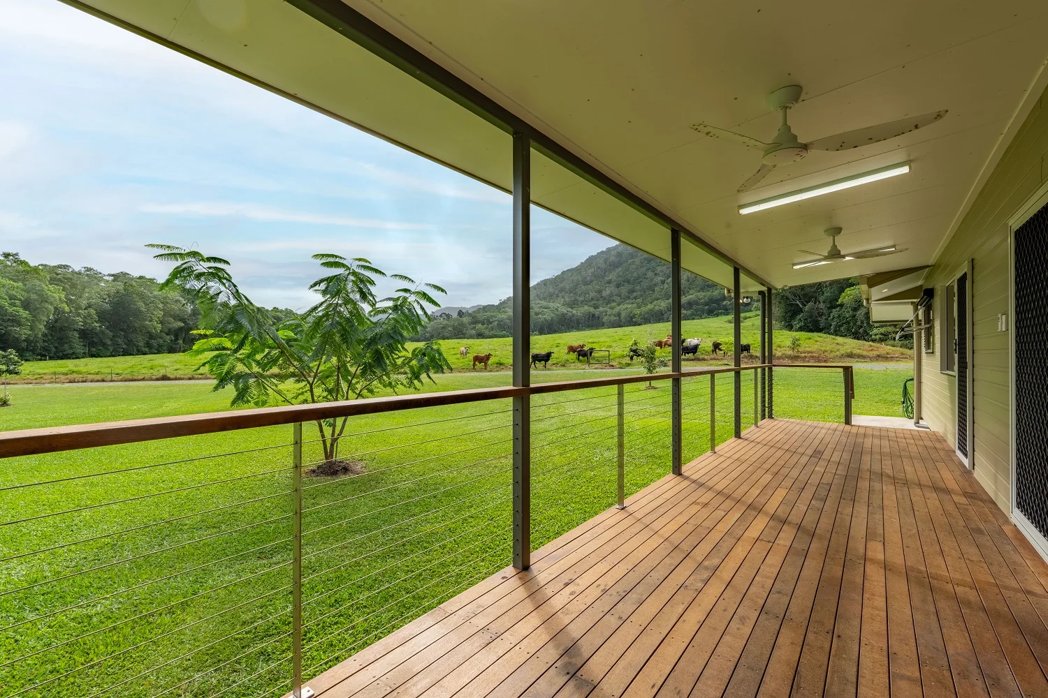633 Cape Tribulation Road, Kimberley, Daintree QLD 4873