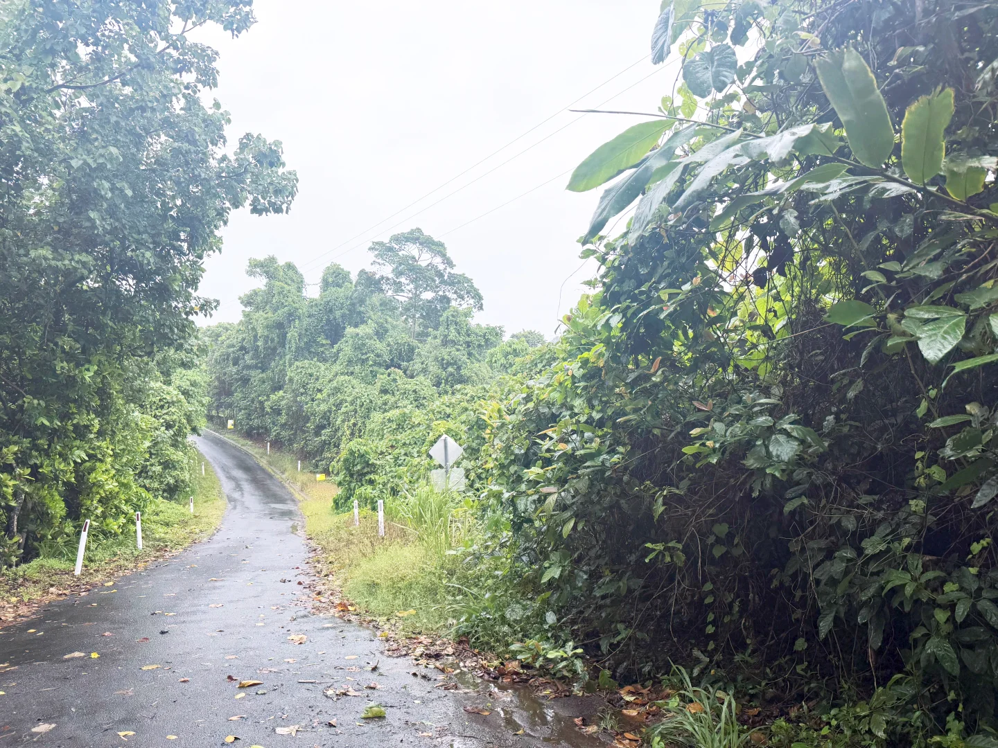 Additional image 9 of Lot 1 Holt Road, Garners Beach QLD 4852