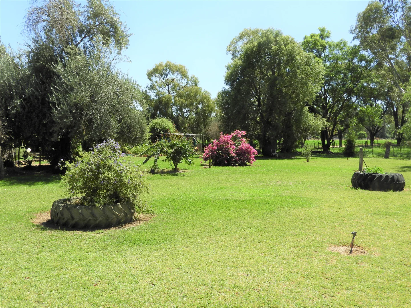 Additional image 2 of 45 Hilton Lane, Warren NSW 2824