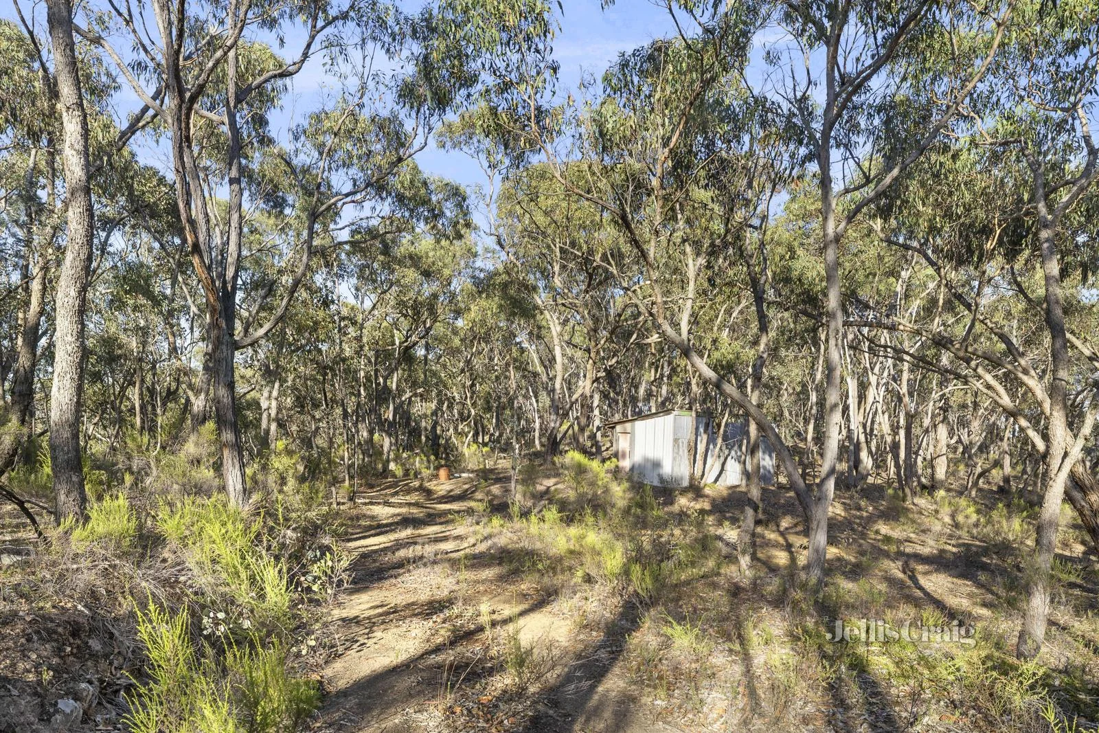 Additional image 7 of 589 Vaughan Springs Road, Drummond North VIC 3446