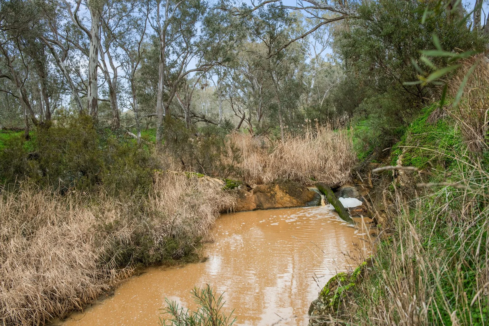 Additional image 11 of 199 Hodges Lane, Longlea VIC 3551