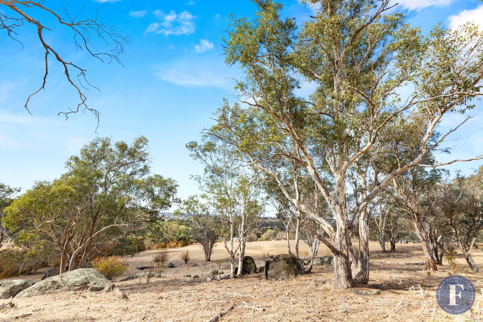 Additional image 13 of 5,6 & 8 Tiedemann Place, Young NSW 2594