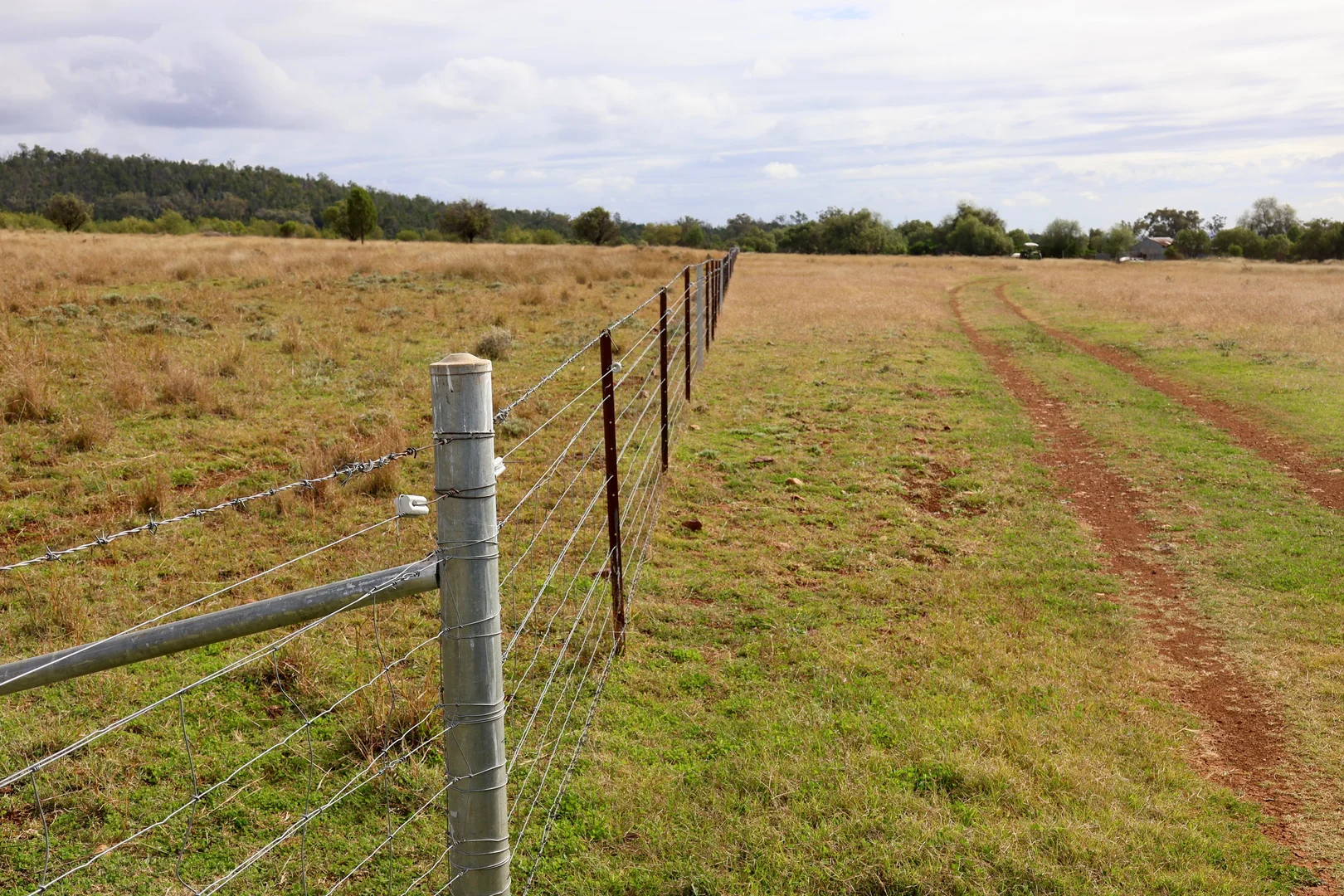 Additional image 19 of The Wilgas Cobbadah Road, Bingara NSW 2404