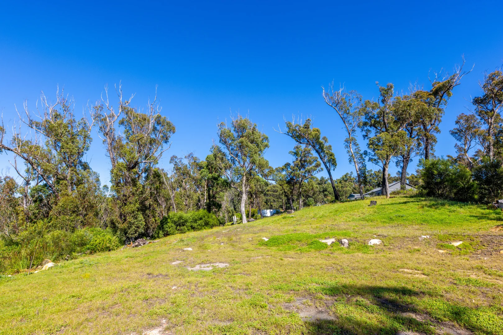 Additional image 10 of Lot 4 Braidwood Road, Sassafras NSW 2622