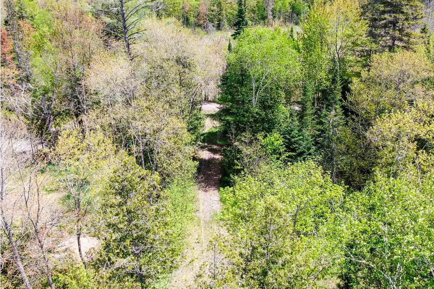 Additional image 2 of 139 Gibson Bay Road