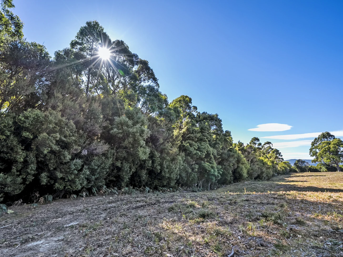 Additional image 40 of 312 Lookout Road, Port Arthur TAS 7182