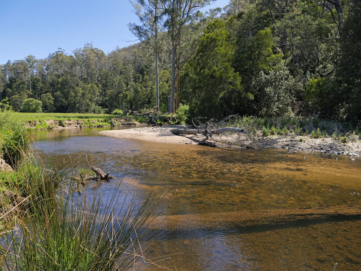 Additional image 29 of 569 St Columba Falls Road, Pyengana TAS 7216