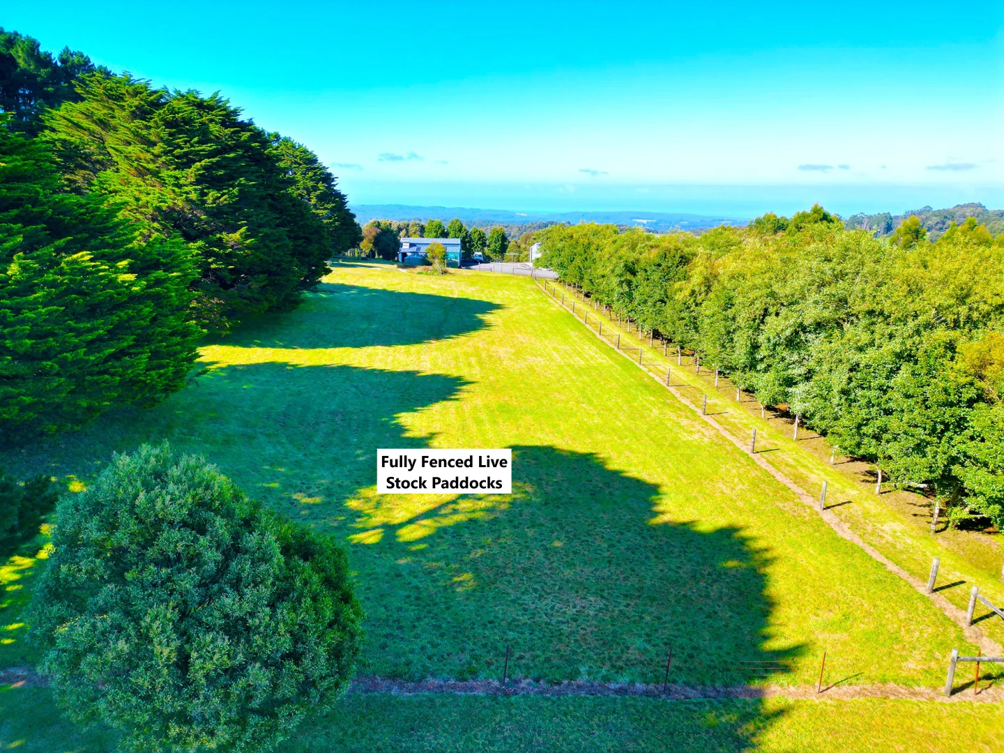 Additional image 7 of 4695 Colac Lavers Hill Road, Wyelangta VIC 3237