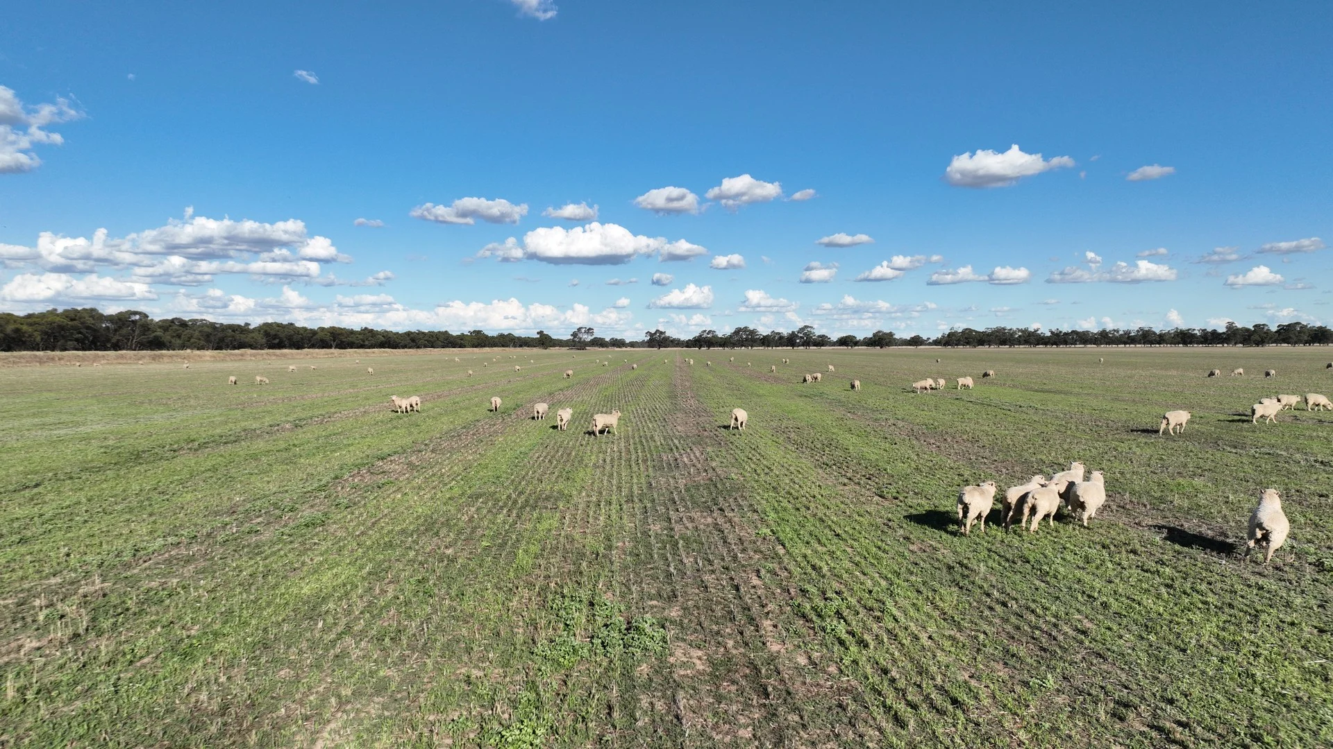 "Goonwarra"/1 Warragoon Road, Deniliquin NSW 2710