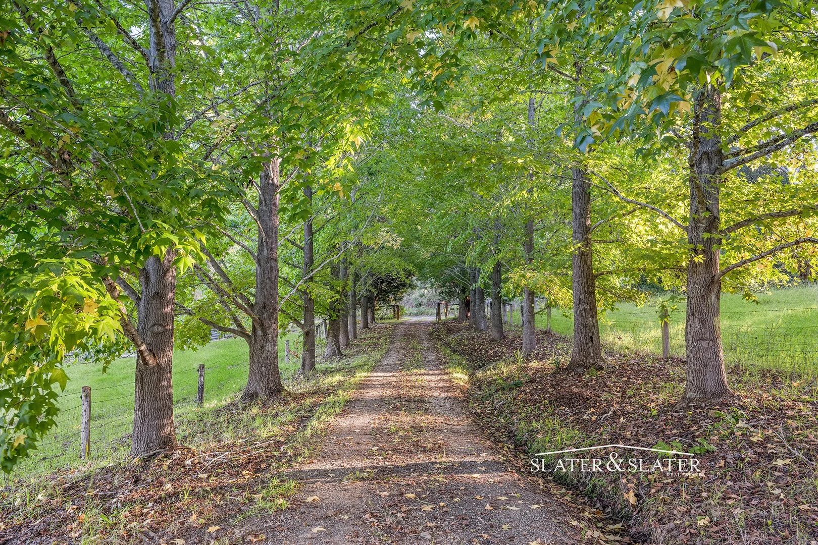 Additional image 5 of 1216 Bellangry Rd, Bellangry NSW 2446