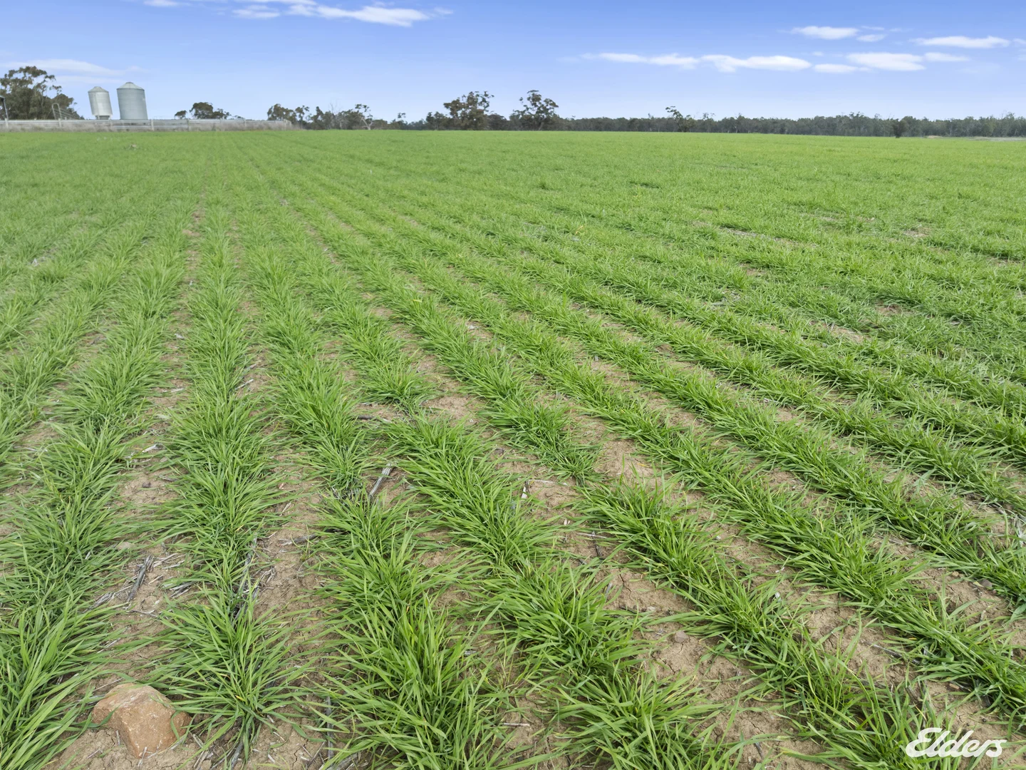 Additional image 16 of 190 Arcadia-Tamleugh Road, Miepoll VIC 3666