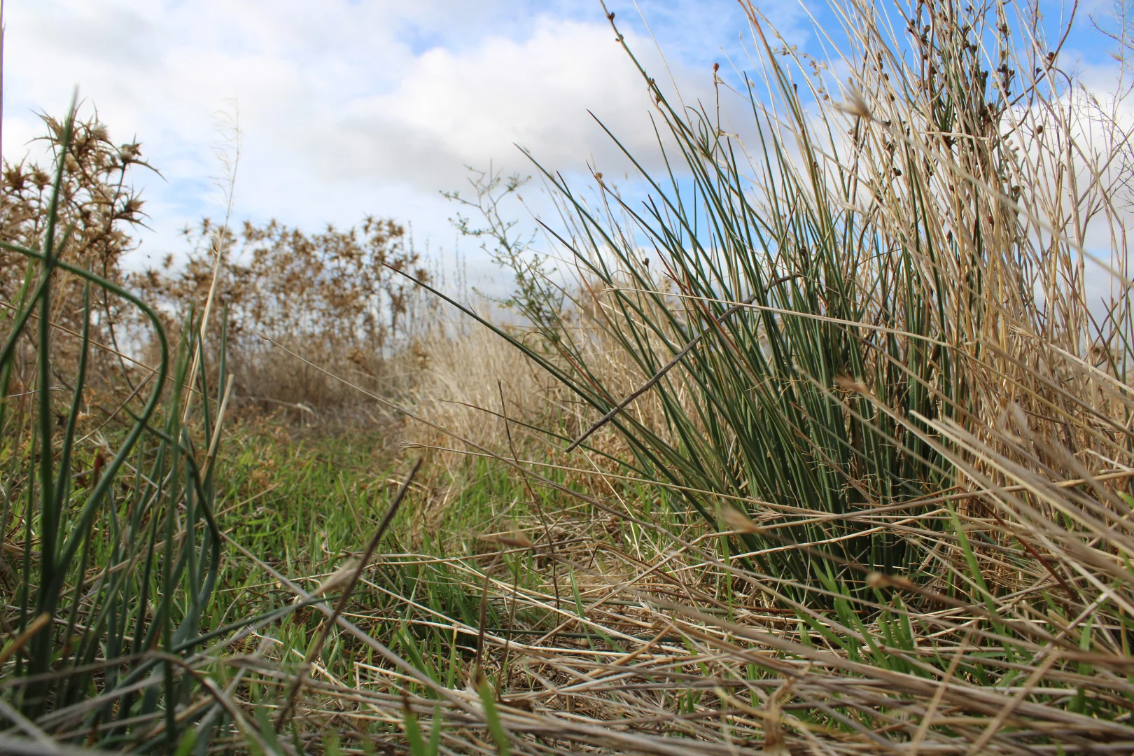 Additional image 52 of 1860 Cleary Road, Terowie SA 5421