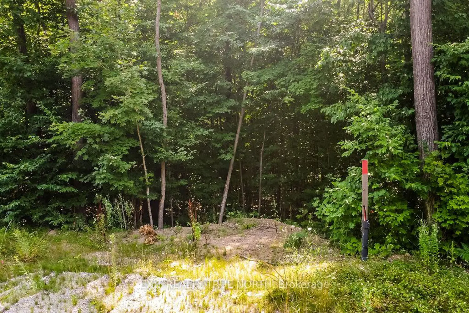 Additional image 4 of Lt 45 Explorers Landing