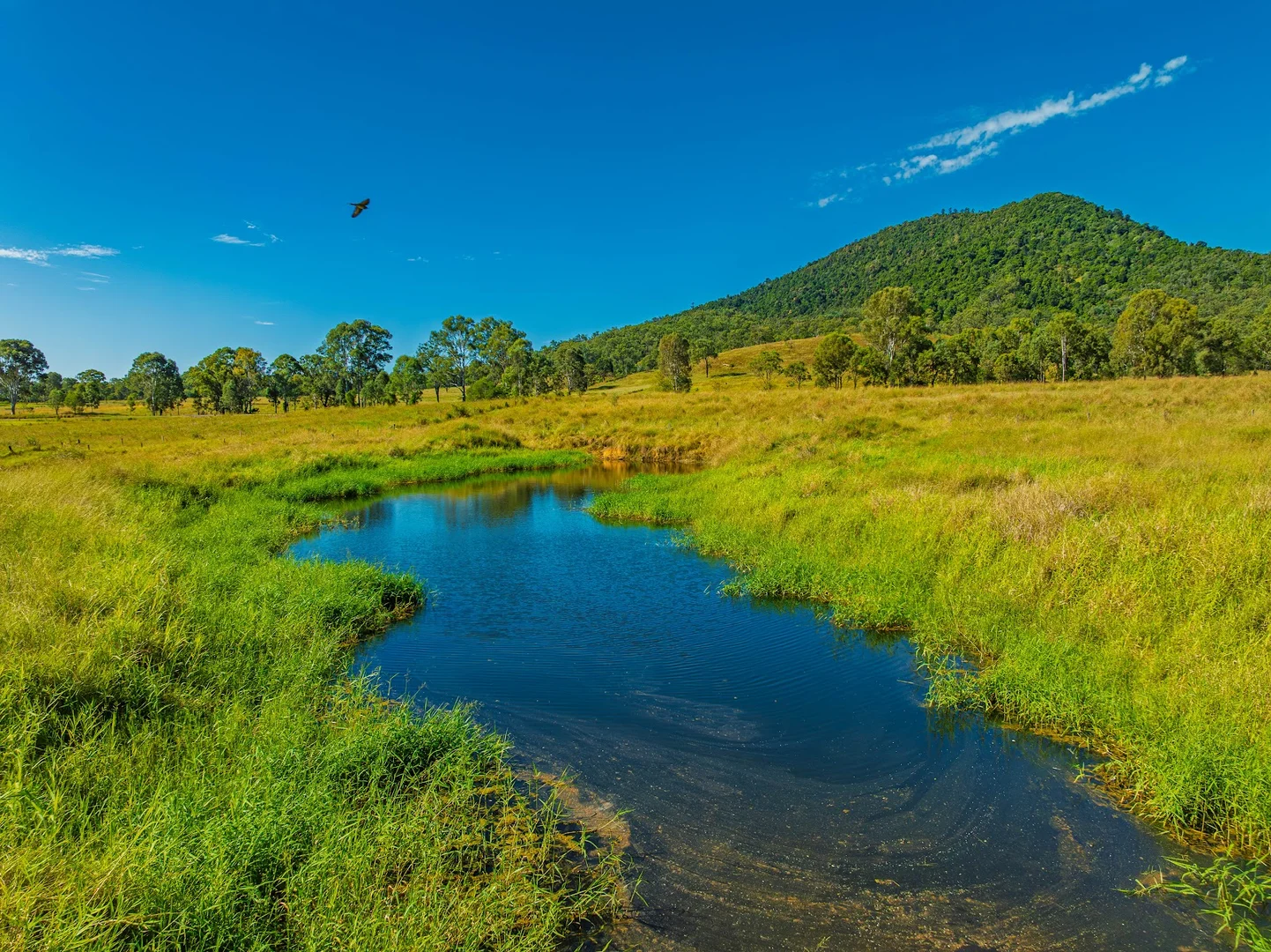 Additional image 4 of 2549 Gympie Woolooga Road, Widgee QLD 4570