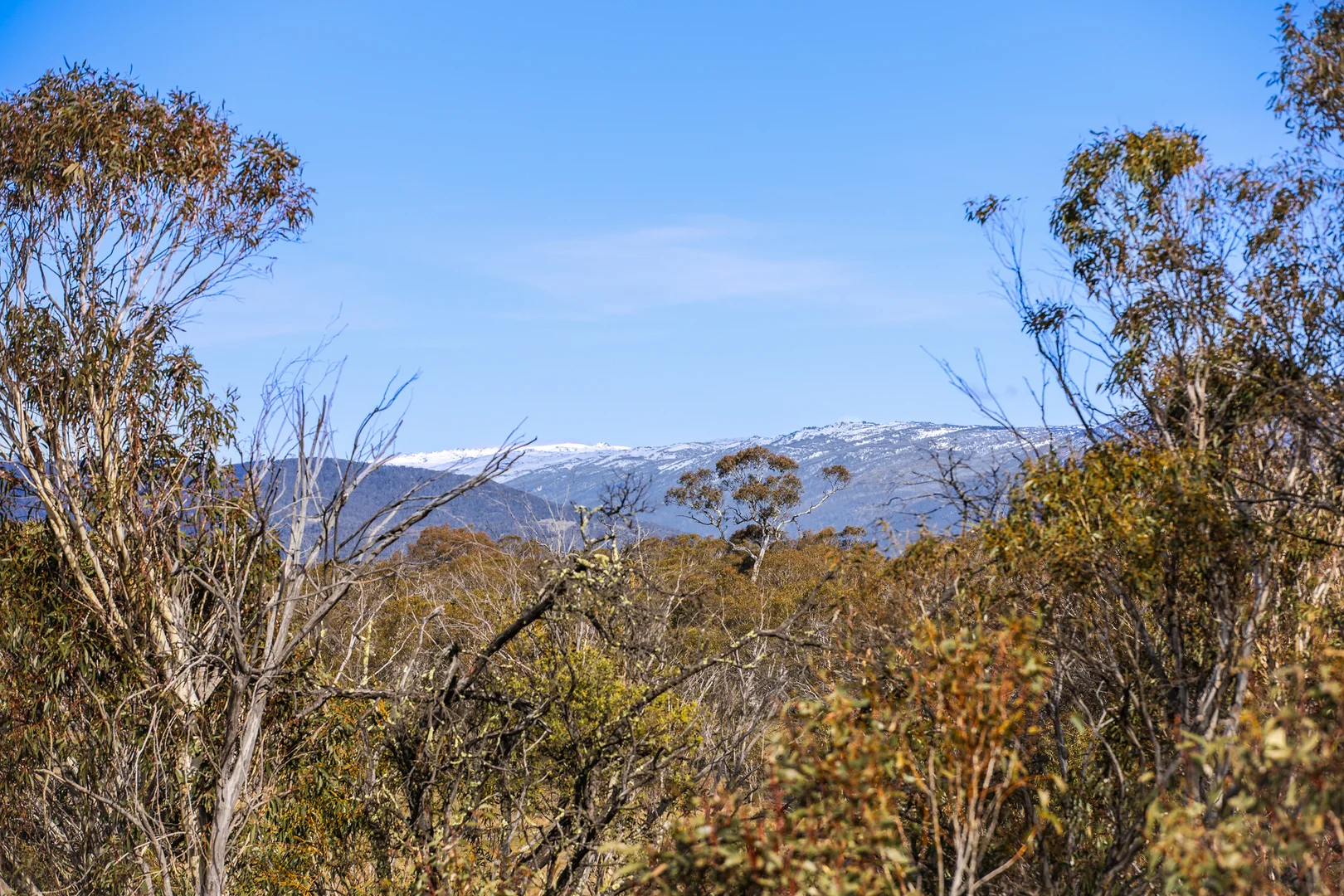 Additional image 7 of 4 Proposed Lot 4 Road, Jindabyne NSW 2627