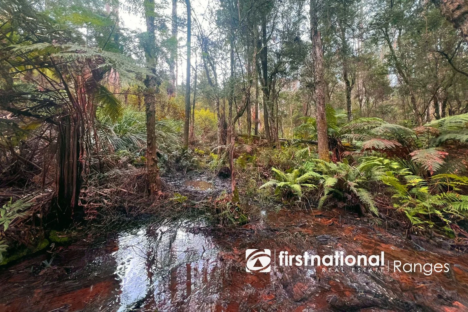 2780 Gembrook-Launching Place Road, Gembrook VIC 3783