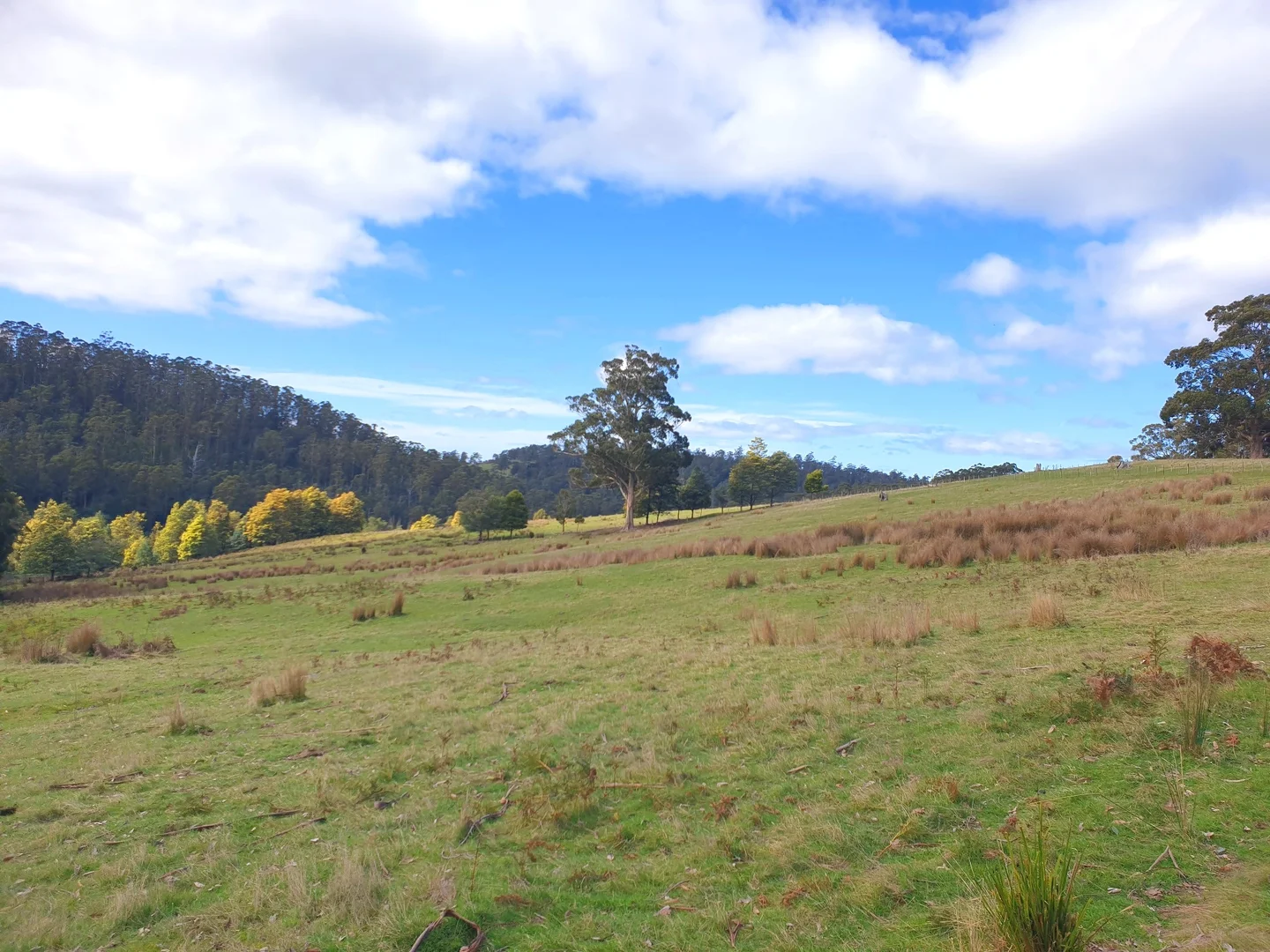 Additional image 18 of Lot 2 Huon Highway, Dover TAS 7117