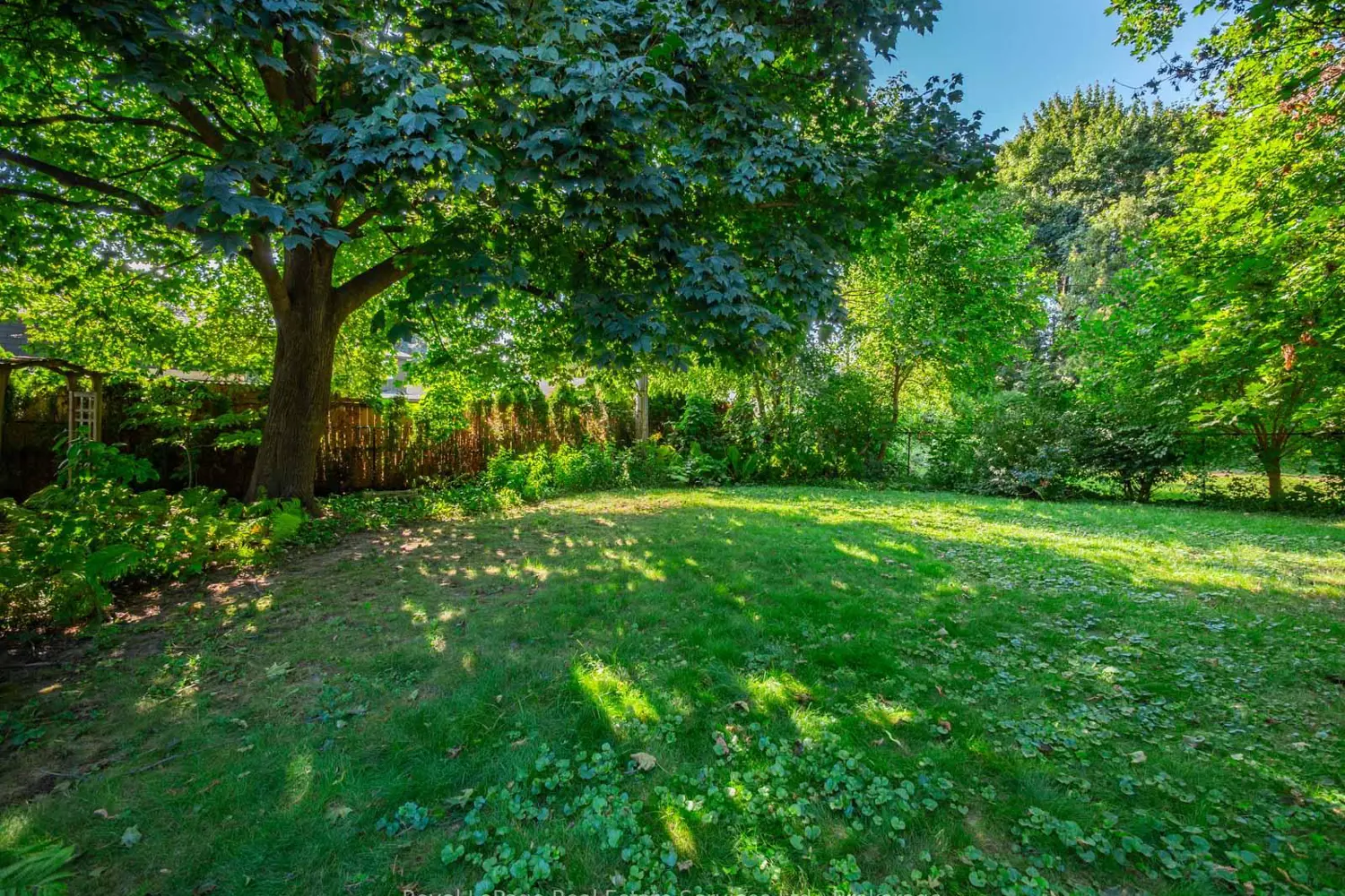 Additional image 20 of 938 King Road