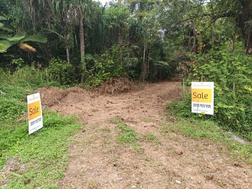 Additional image 2 of Lot 81 Cape Tribulation Road, DIWAN,, Daintree QLD 4873